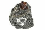 Fluorescent Zircon Crystal in Biotite Schist - Norway #175870-2